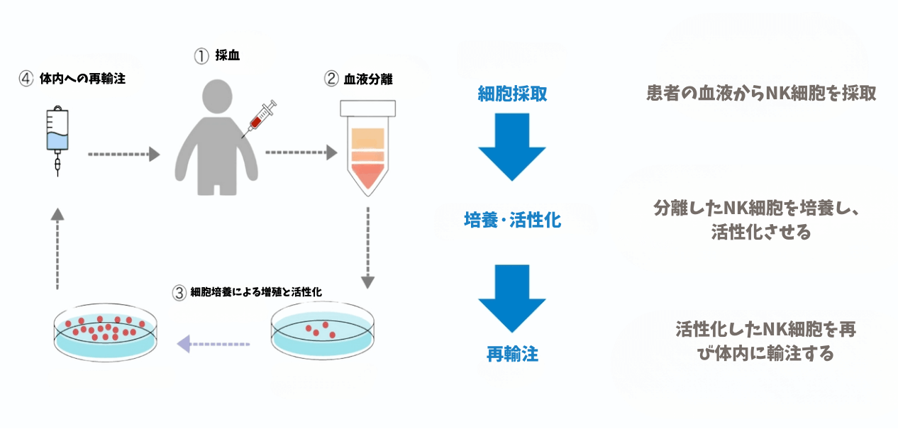 免疫細胞療法とは